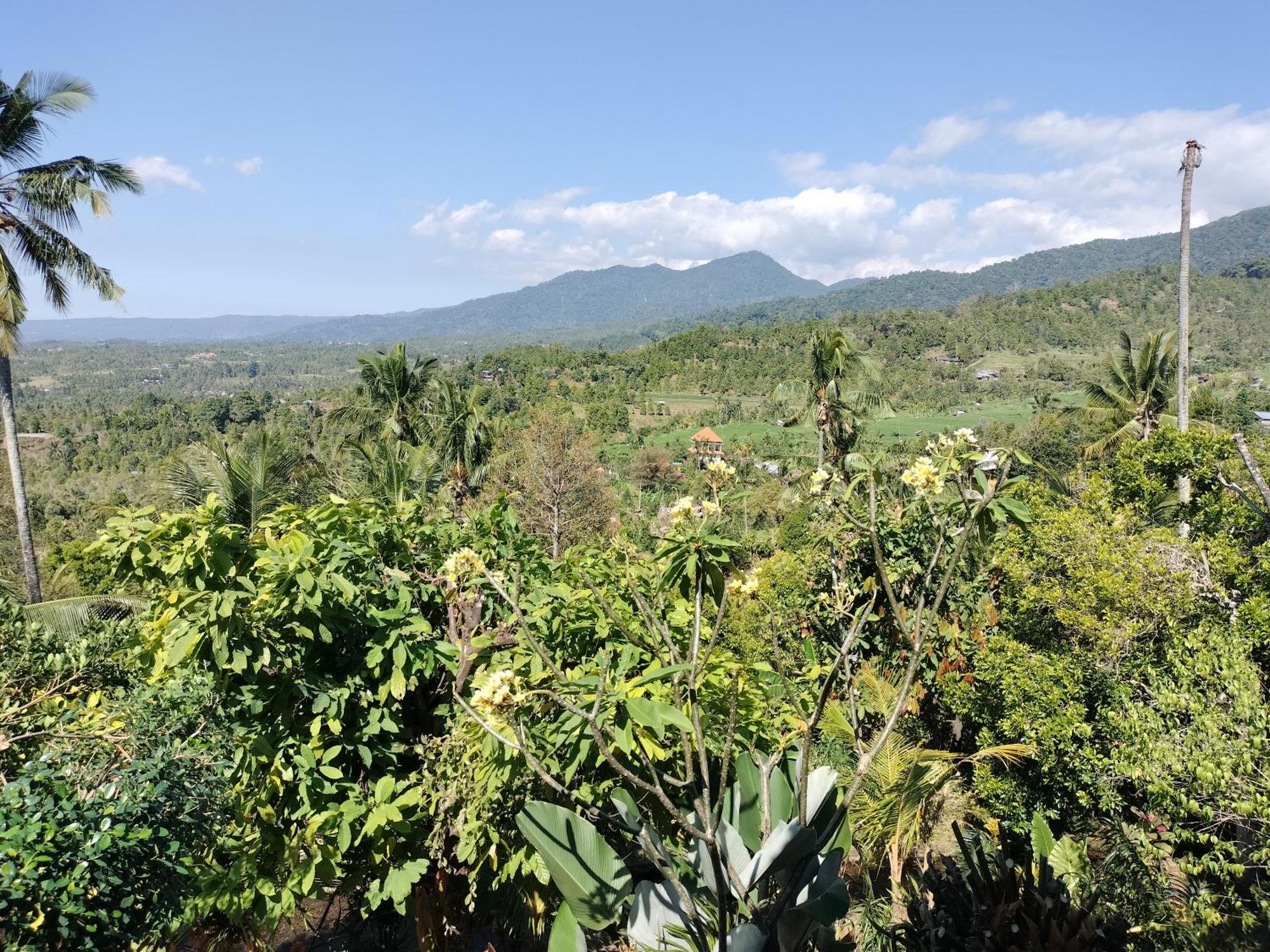 D'Kailash Retreat Singaraja Buitenkant foto